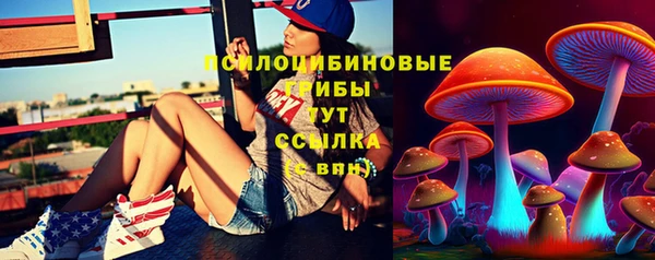 spice Алагир