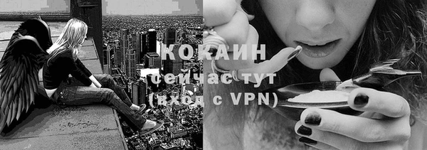 PSILOCYBIN Кущёвская