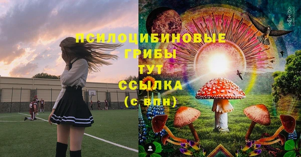 spice Алагир
