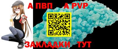 стафф Гай