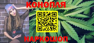 стафф Гай