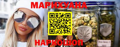 стафф Гай