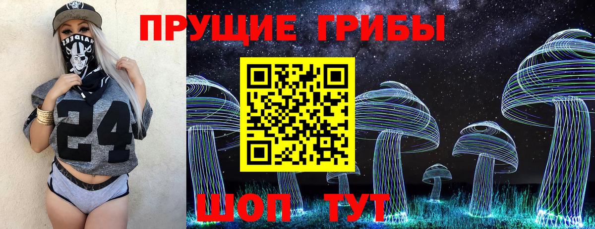 Галлюциногенные грибы Psilocybe Калининград