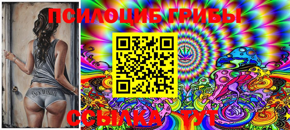 Псилоцибиновые грибы Psilocybine cubensis  как найти закладки  Калининград 